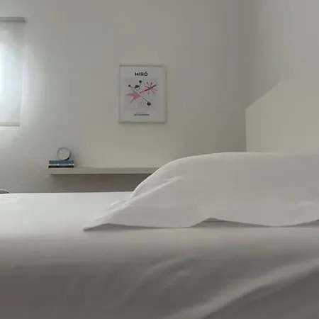 Cozy, Spacious, Newly Renovated Flat In